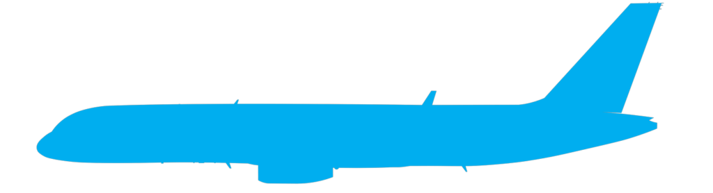 BlueBird Sim