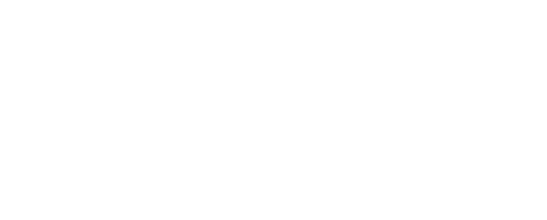 Virtual Performance